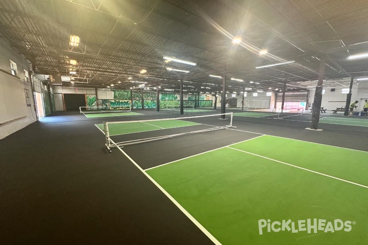 Photo of Pickleball at The Pickleball Warehouse